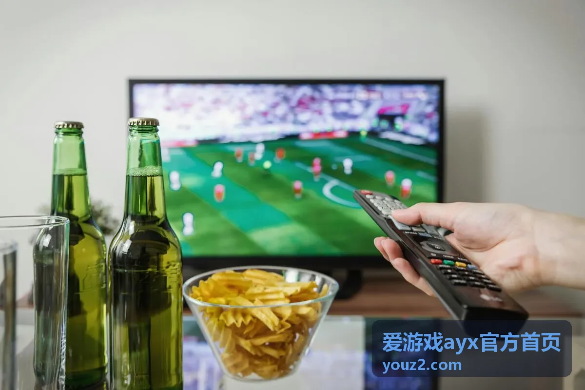 爱游戏ayx官方首页密码与验证方式设置说明图